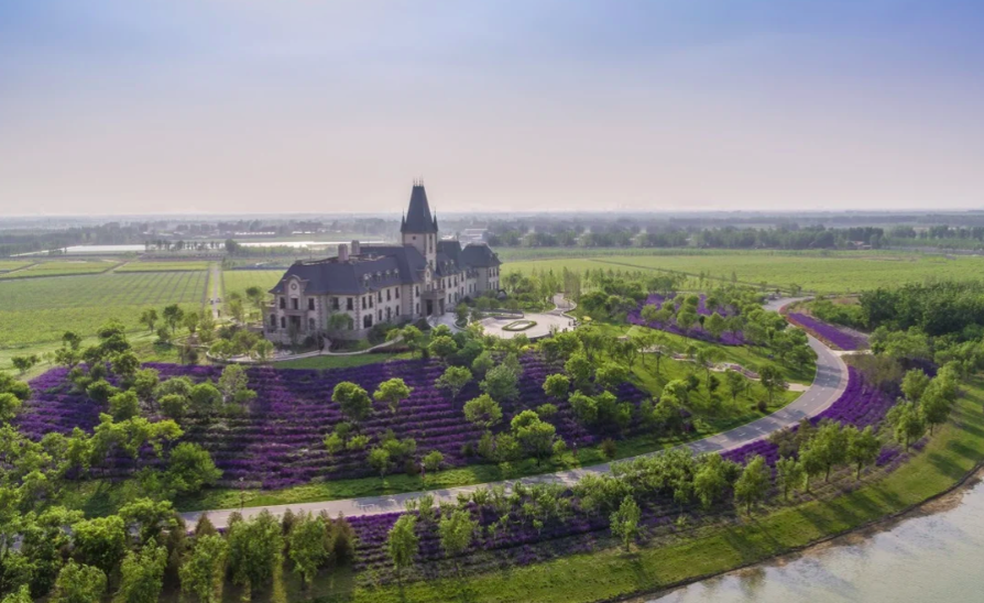 schermata2021 05 14alle12.56.26