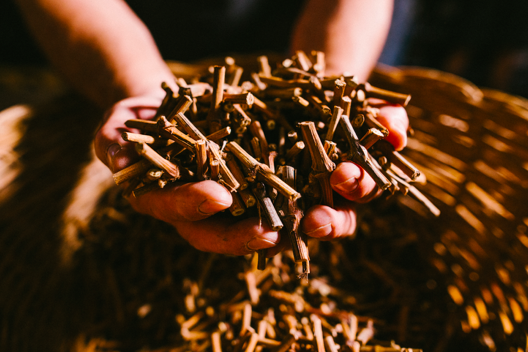 schermata2021 06 29alle10.42.43