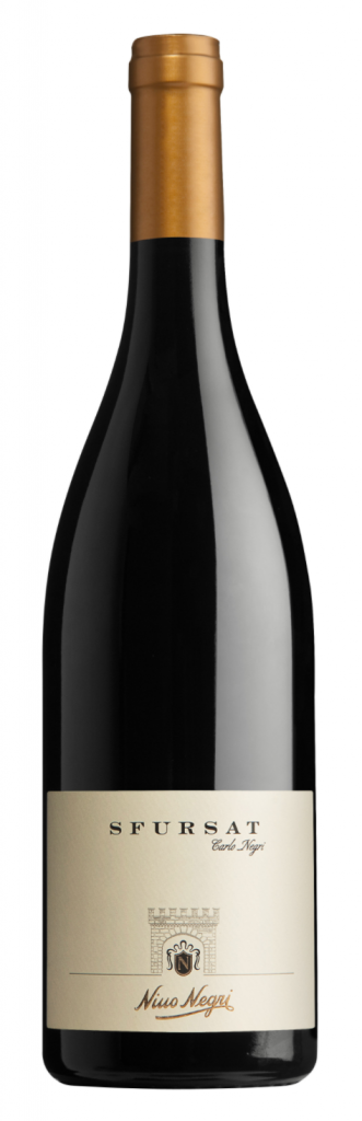 schermata2021 11 19alle16.45.34 1