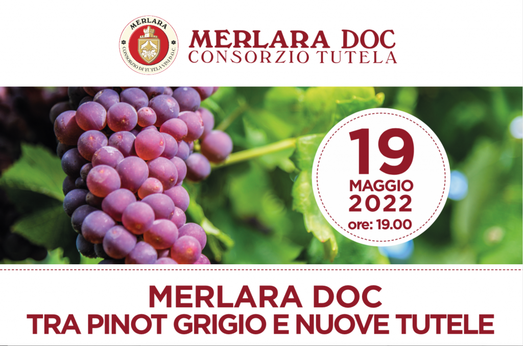 schermata2022 05 12alle12.47.10