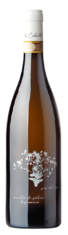 schermata 2022 01 10 alle 11.28.01 removebg preview