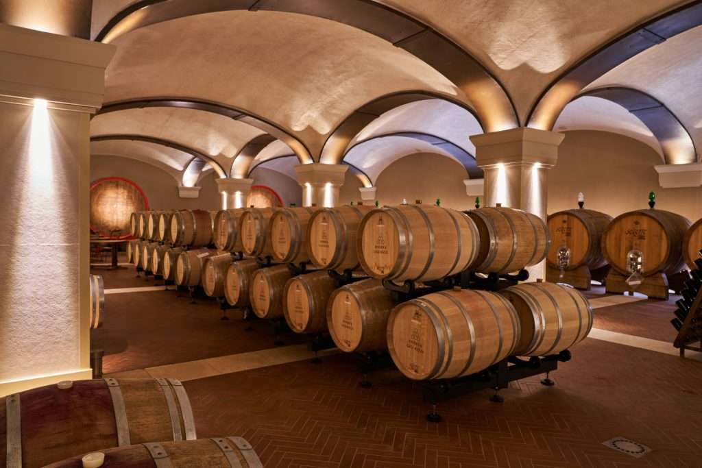 seiterrefabio scaled