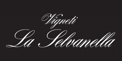 selvanella banner 2025 WM