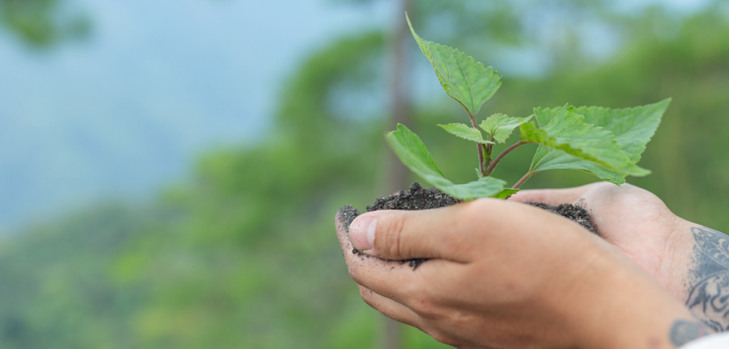 sliderwinemeridian2 80