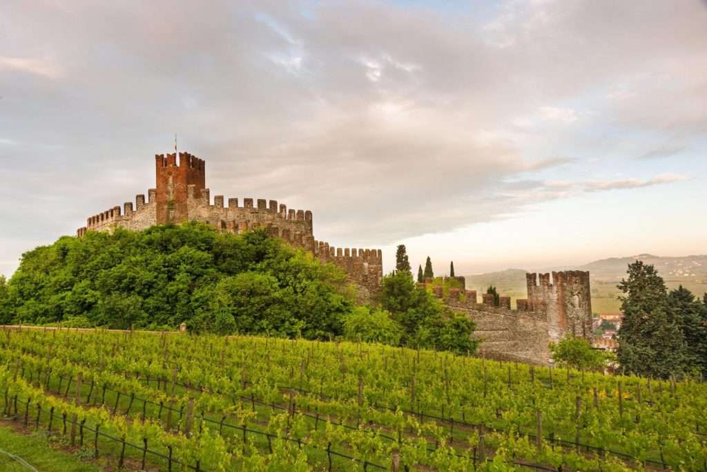 soave 1