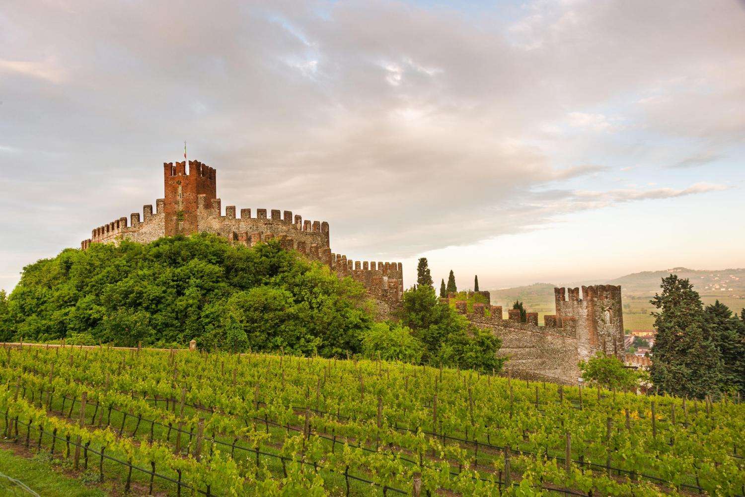 soave 1