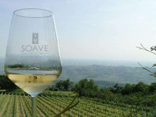 soave bicchiere vigneto