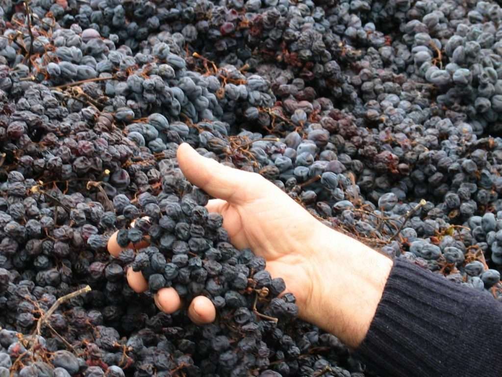 tedeschi dried grapes