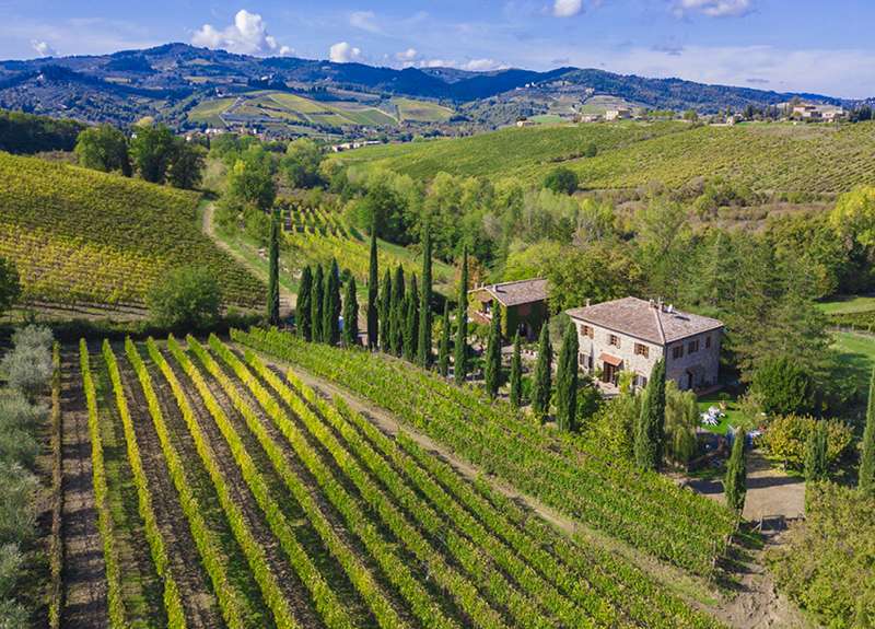 tinazzi blog 07.02 tenuta pian del gallo 1