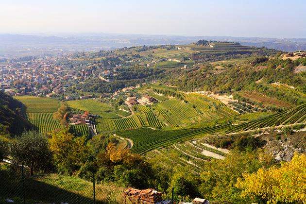 valpolicellaannualconference