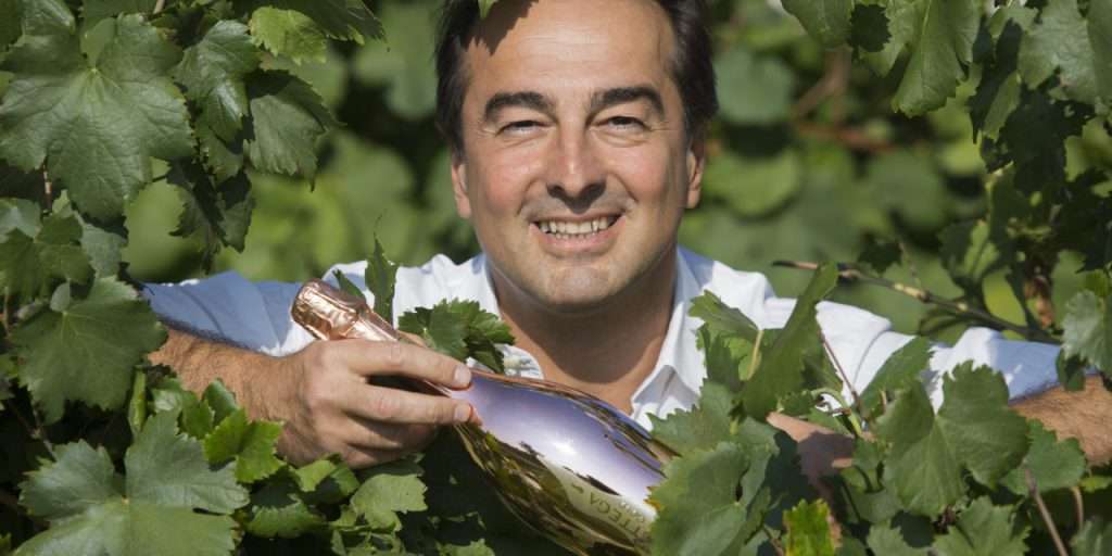 vendemmia sandro bottega prosecco