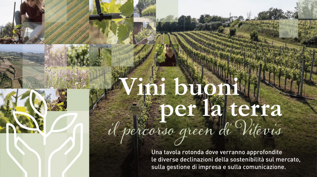 vini buoni per la terra percorso green vitevis1