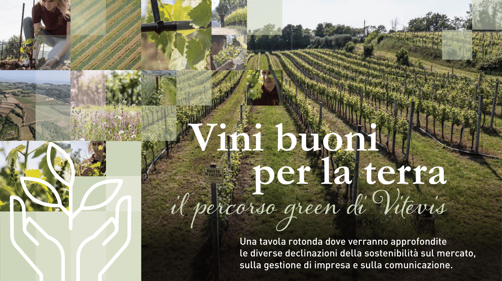 vini buoni per la terra percorso green vitevis1