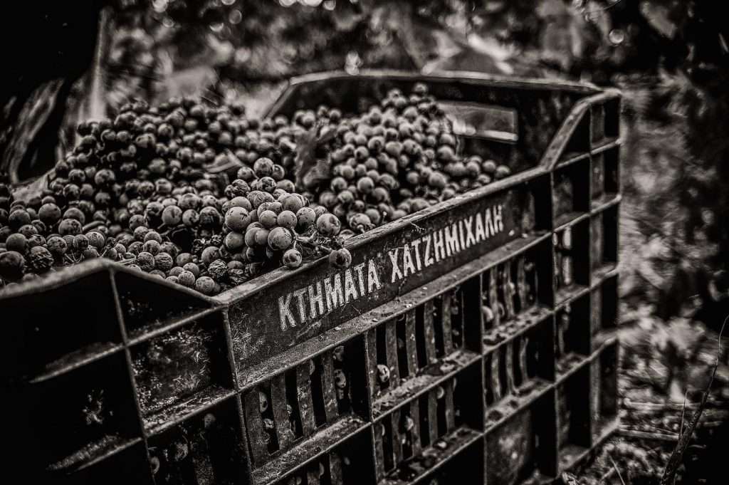 vino mercato greco grecia domaine hatzimichalis