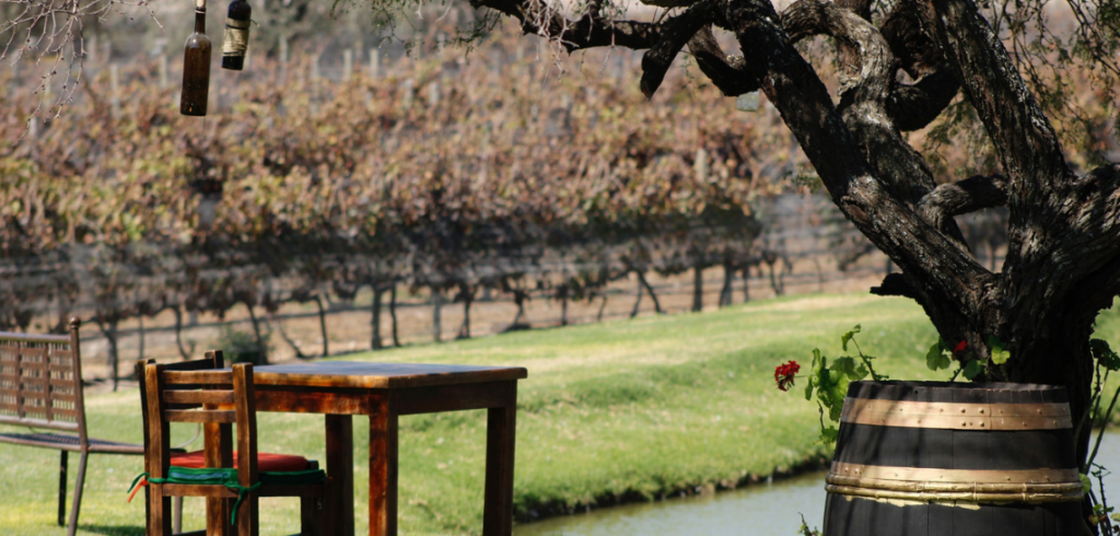 vinocanalehorecaprosepttive