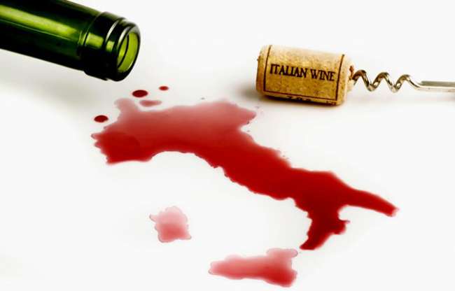 vinoitalianoexporitalia
