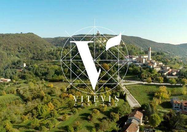 vitevis media video vitevis cantine e1558950565721