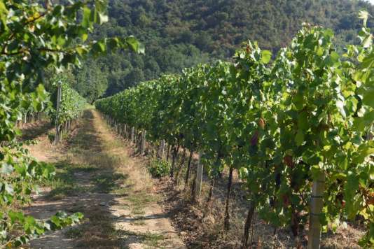 whatsapp image 2022 07 28 at 12 07 01