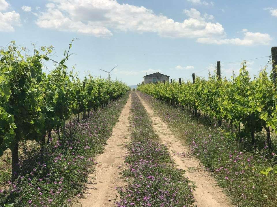 whatsappimage2018 04 14at12.02.04