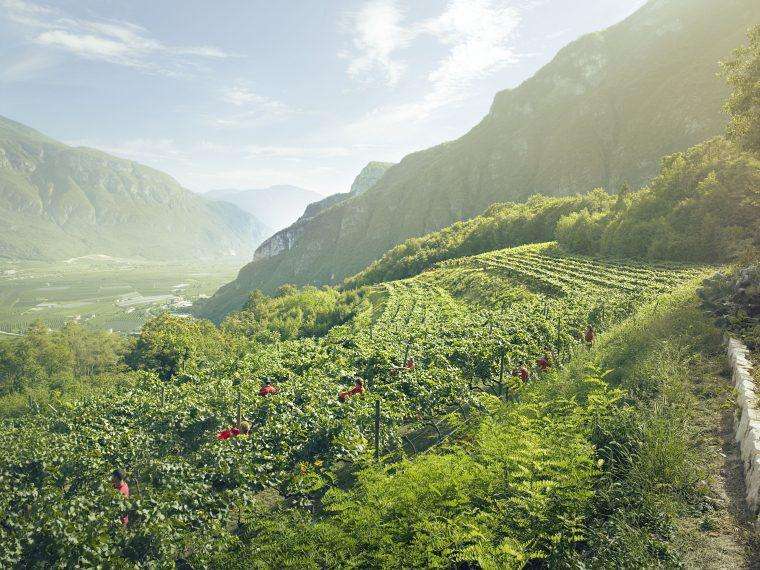 xcantineferrari 0224 760x570 1