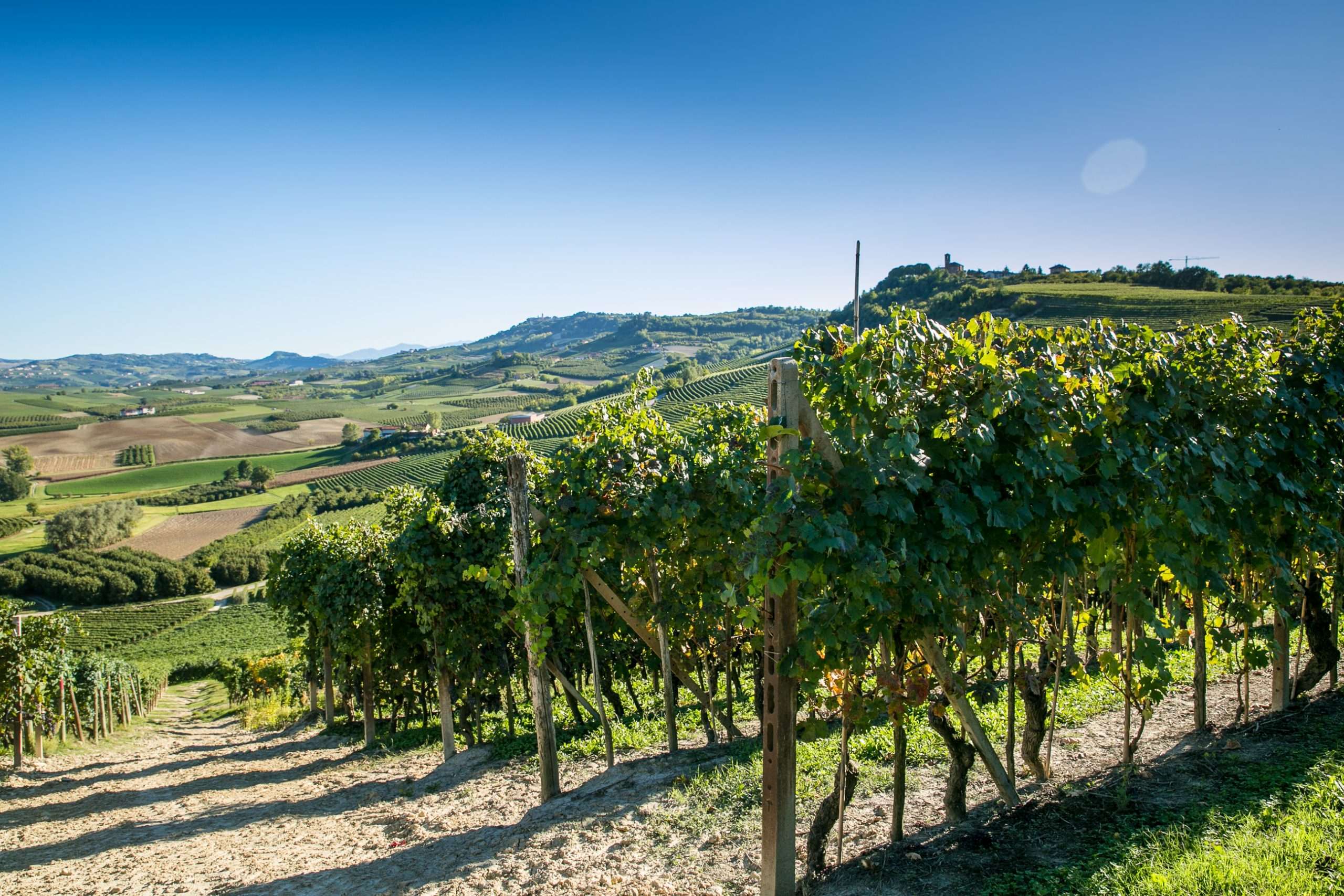 0EB16F06 9E2C 40EE 8692 B00A27AAB4B7 scaled