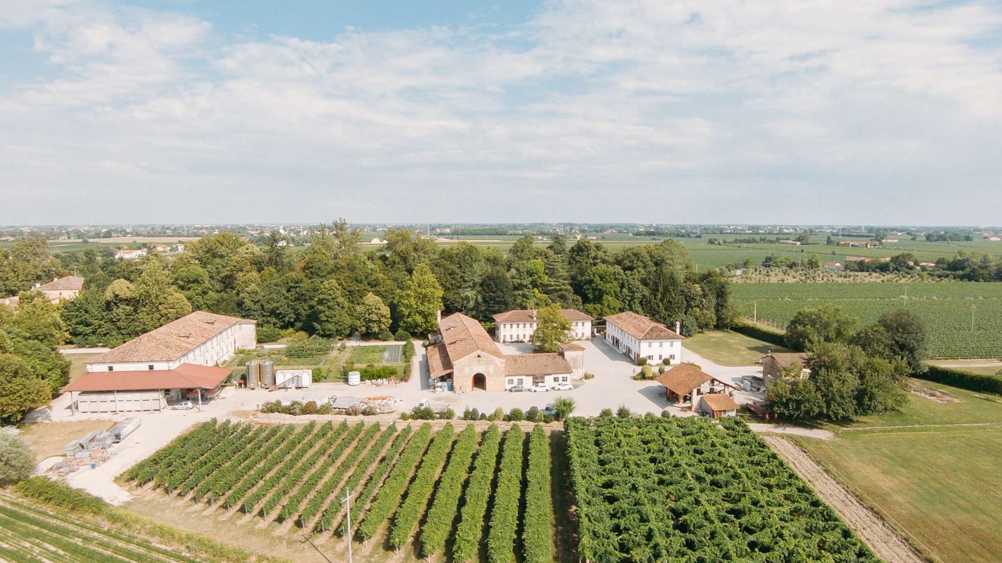 273834209 5167412219944716 8084497320596918231 n