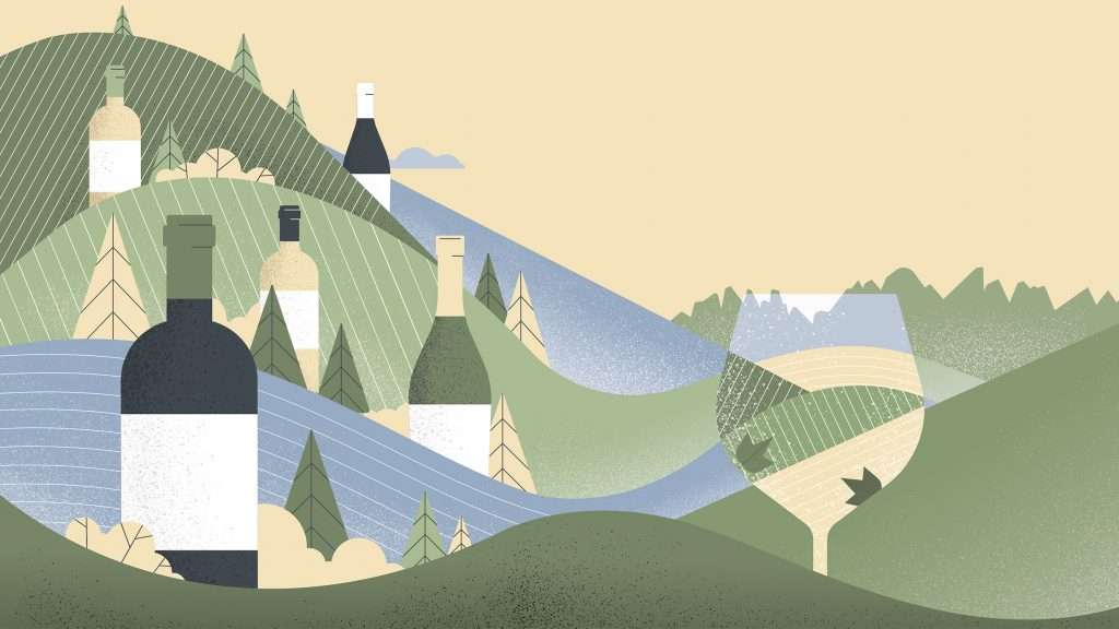 bilancio 2022 consorzio vini del trentino obiettivi sostenibilita enoturismo