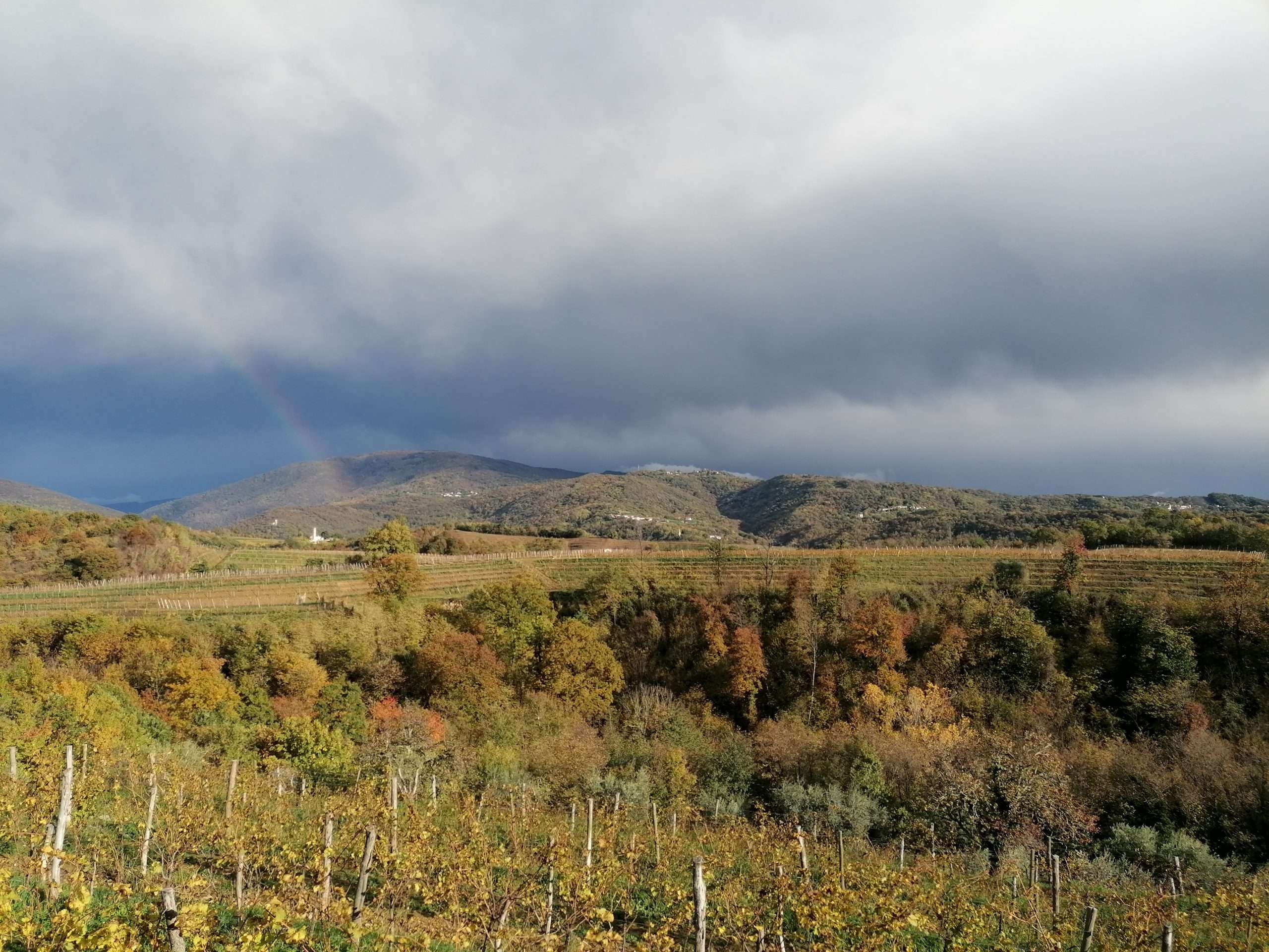 img 20221118 141245 scaled