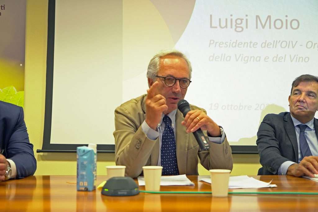 luigi moio