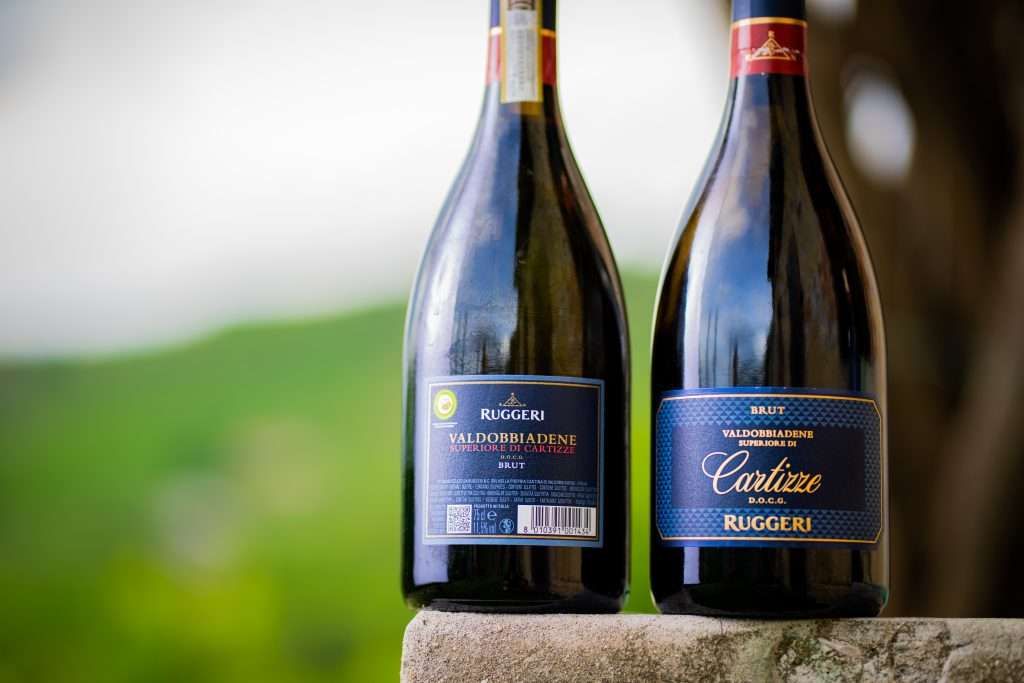 rugshvigna2022 235 mar05327 scaled