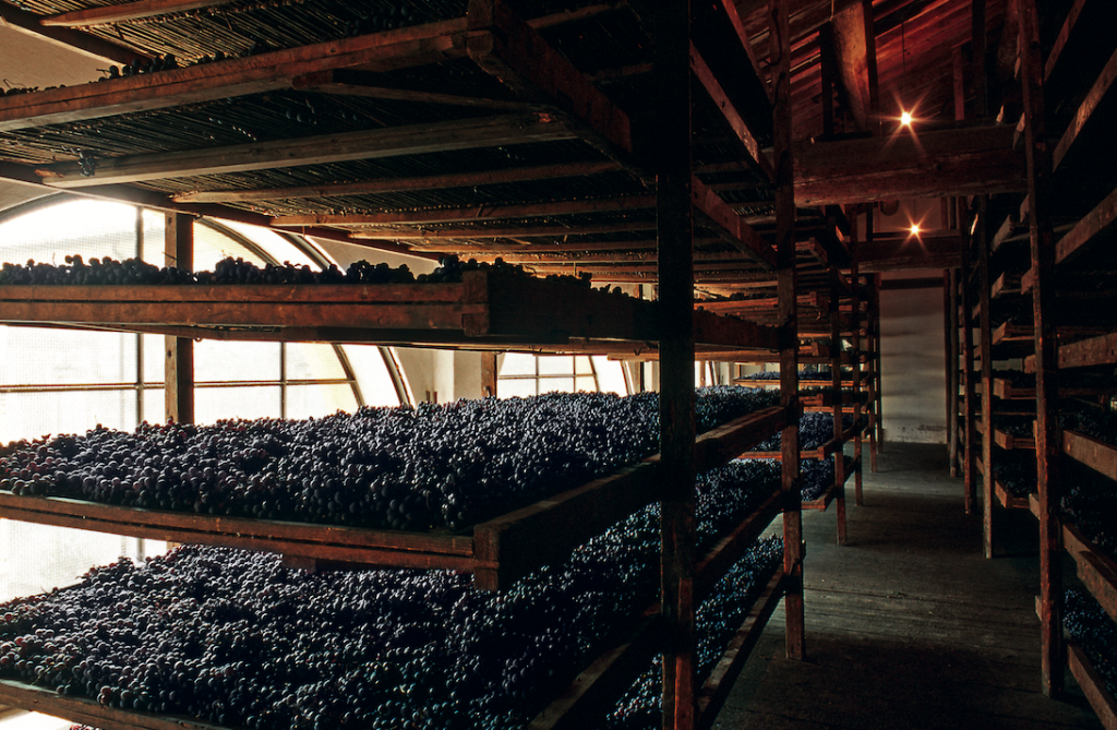 schermata2022 10 24alle16.51.03