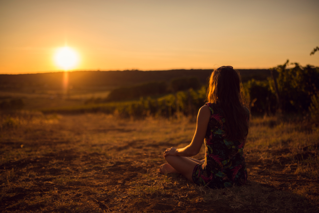 vineyard wine tourism