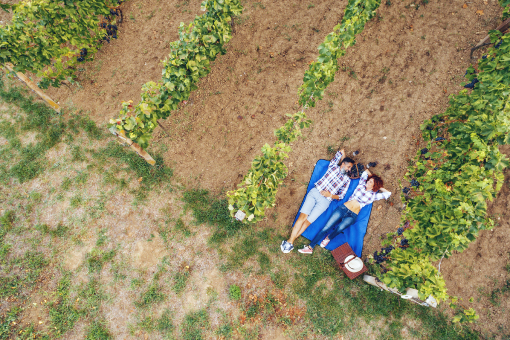 enoturismo esclusivo