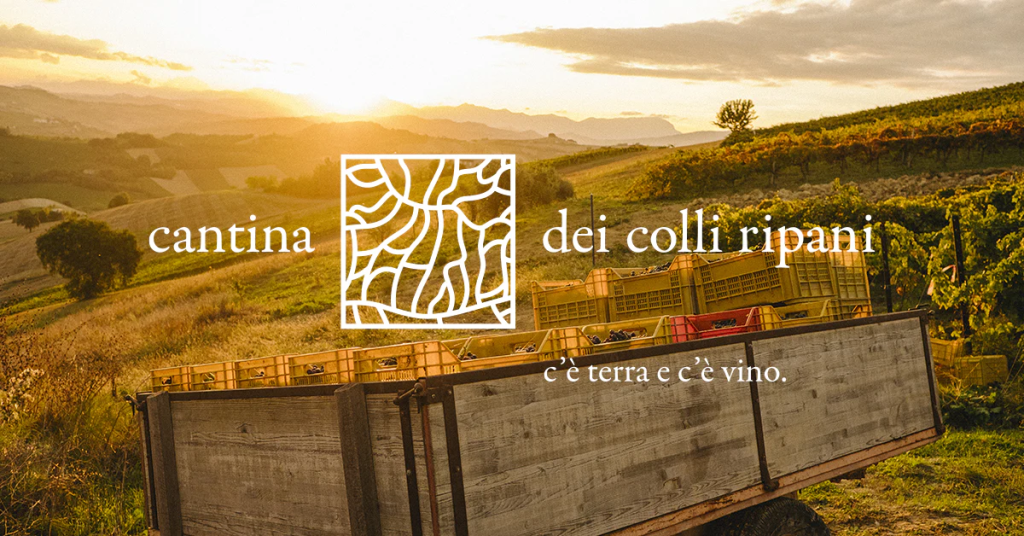 CCR anteprima social