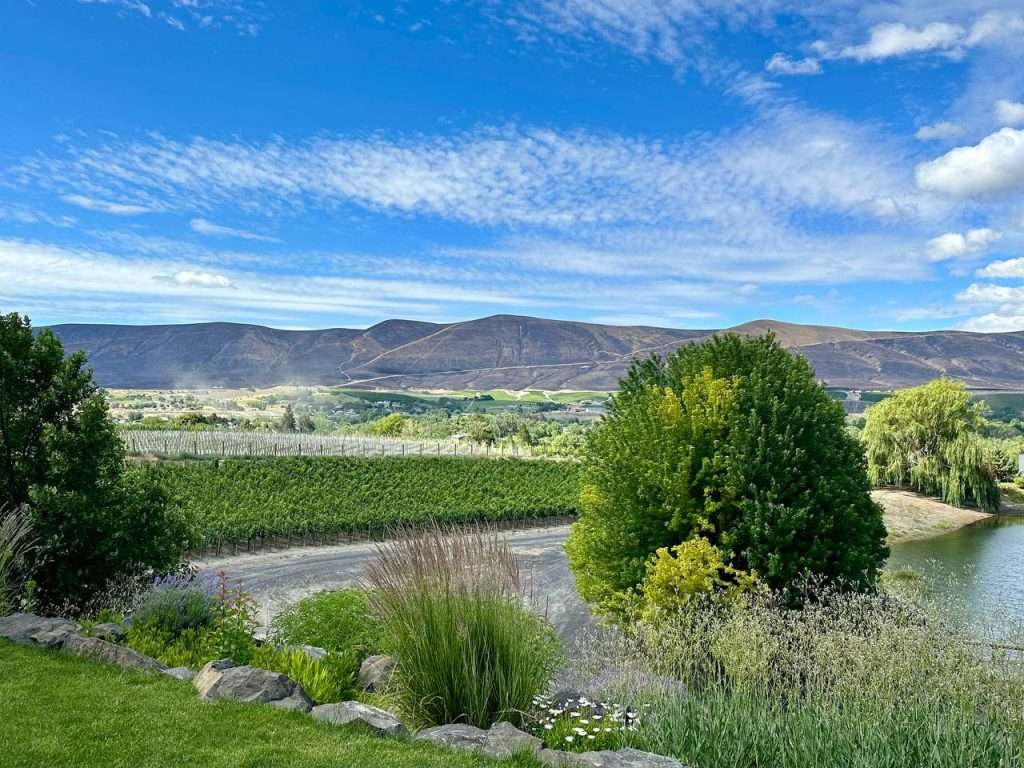 denominazioni-usa-wine-meridian