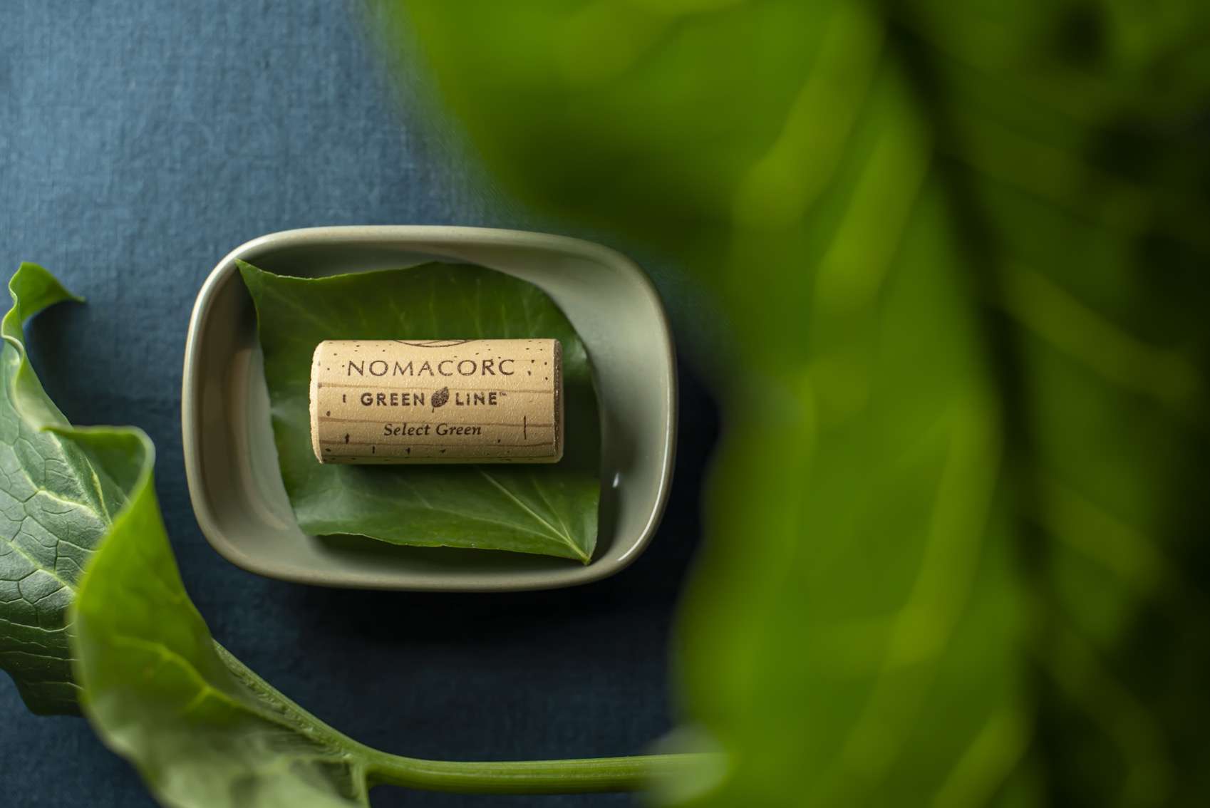 GREEN.28.01.22.BD∏ANAKA 9