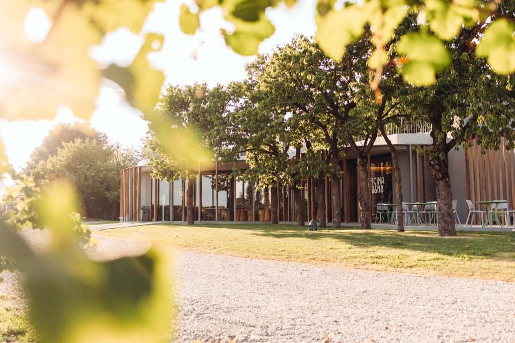 OFFICINA DEL VINO ESTERNI (17) copia