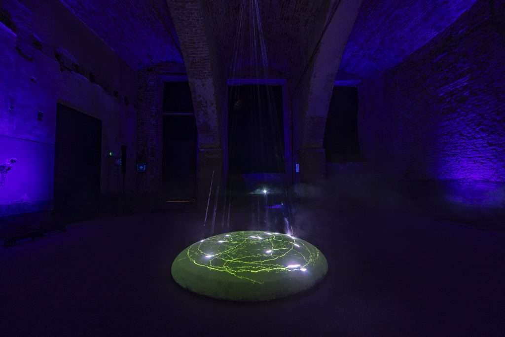 SUPERFLUO Pasqua Vini 2