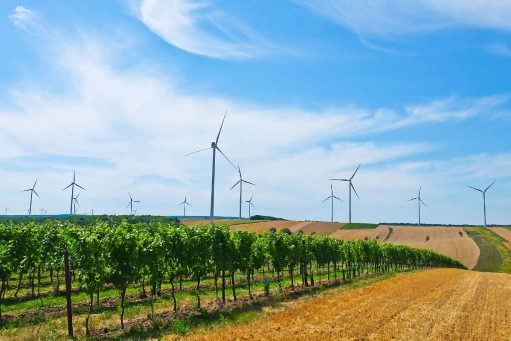 enoturismo sostenibile wine meridian