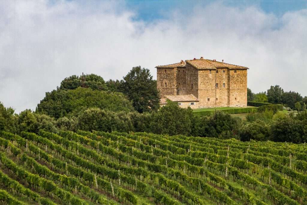 enoturismo zone rurali dimenticate