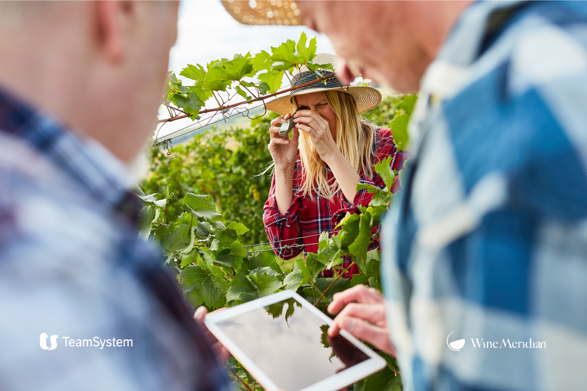 9bc564fd adb7 4bae b4a0 4933a9654286