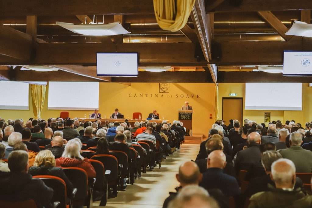 Cadis approvazione bilancio 2022 2023 soci