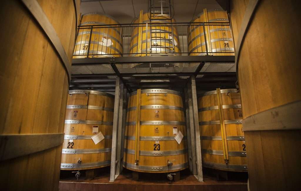 MG 9216. DISTILERIA DETA. ROBESPIERRE E FOTO MARIO LLORCA