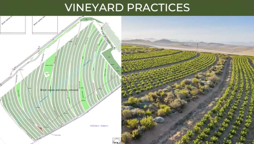 WhatsApp Image 2023 11 07 at 10.13.08