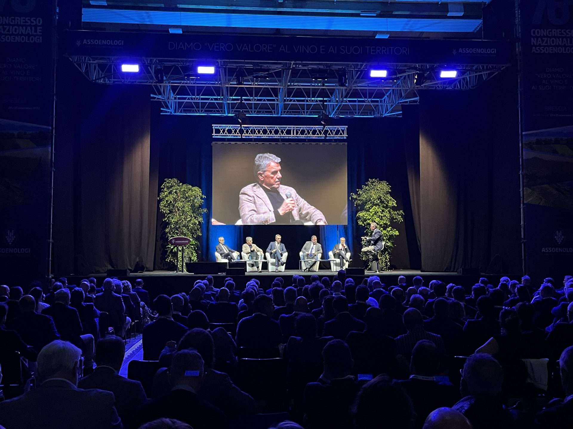 assoenologi wine meridian