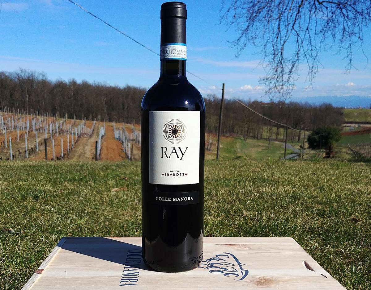 colle manora ray piemonte albarossa doc