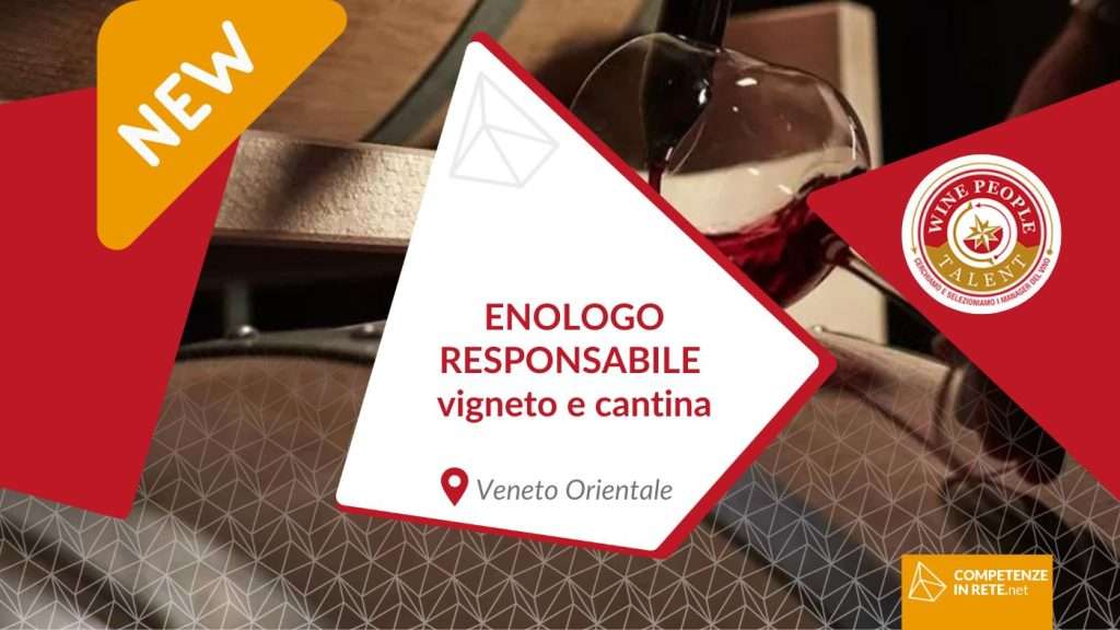 ricerca lavoro enologo