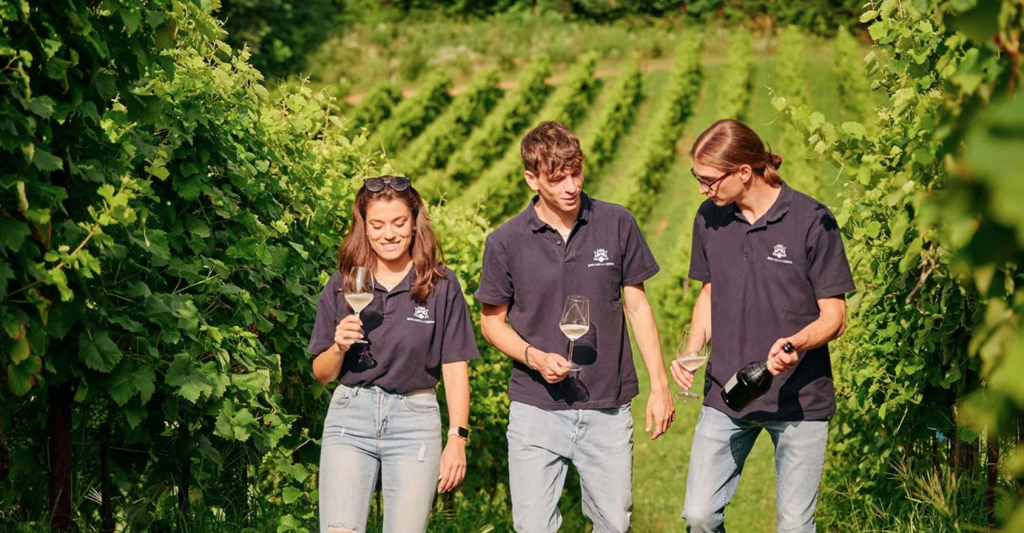 rive della chiesa collezione tiziano prosecco 1