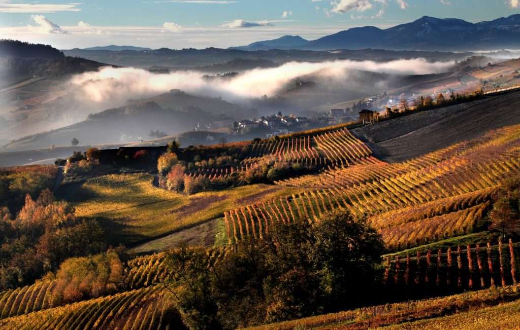 49864356 1066690983529137 9187839407342747648 n