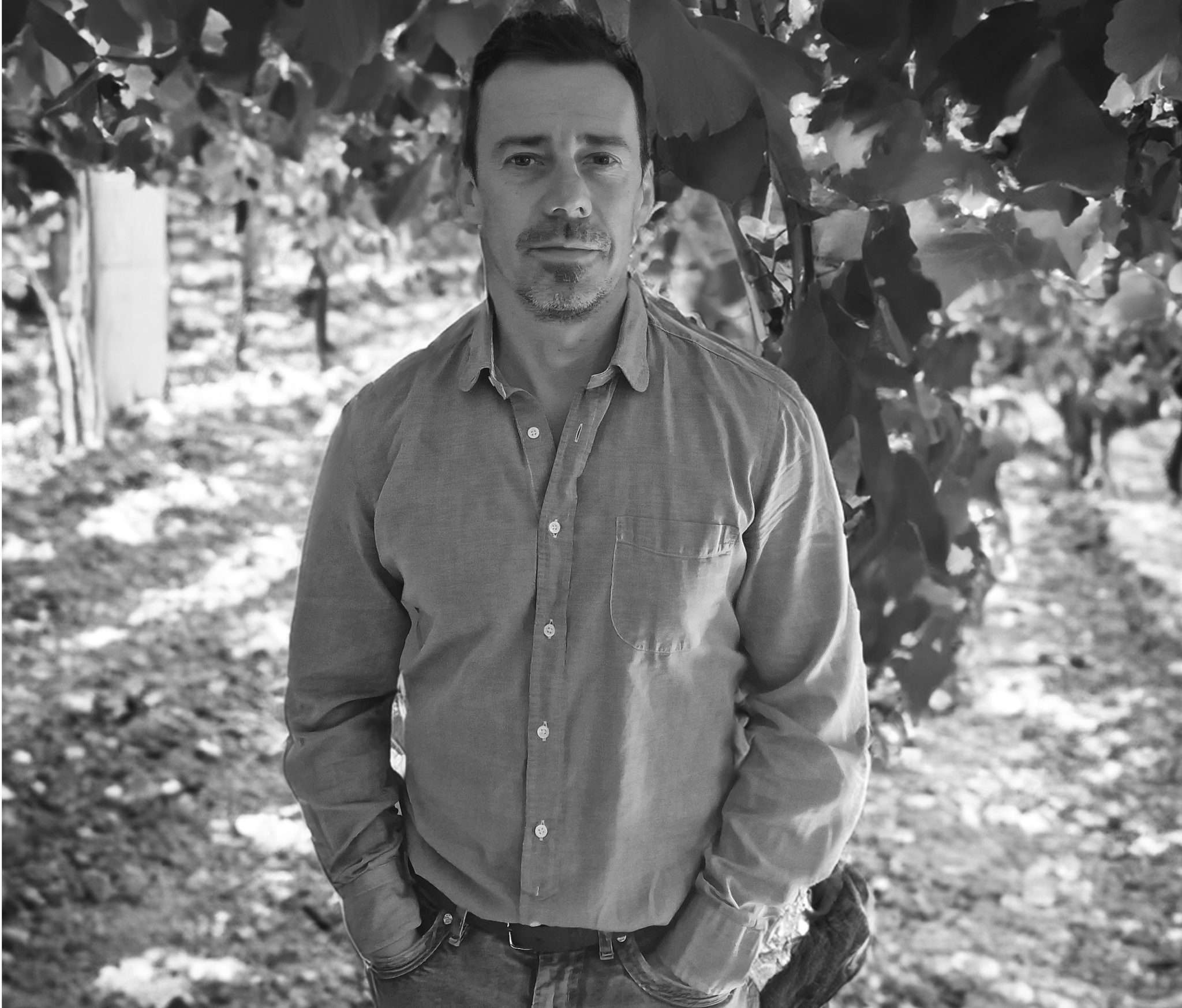 Andrea Burato vino burato wines valpolicella